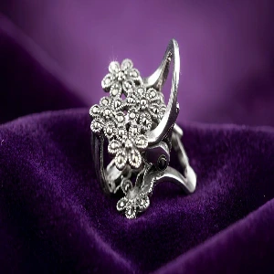 Claw clip